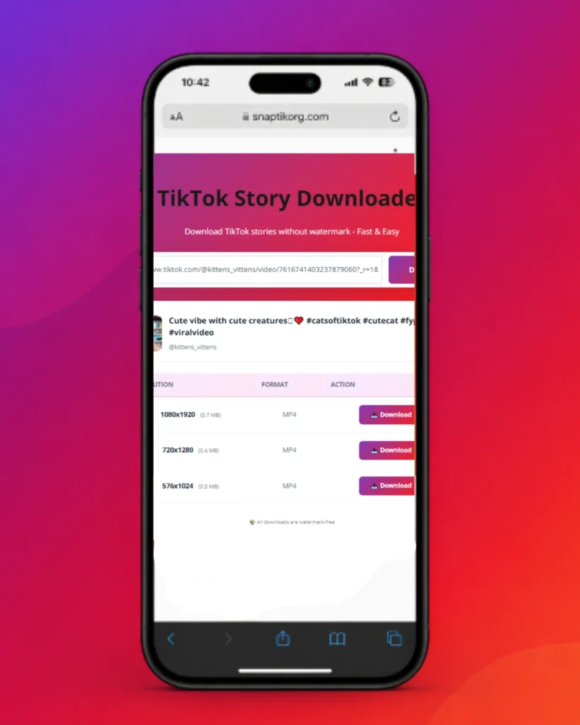 TikTok Story Downloader: Download TikTok Stories Without Watermark 3 click on the desired pixels to download story